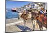 Donkeys on Greek Island-f8grapher-Mounted Photographic Print