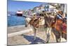 Donkeys on Greek Island-f8grapher-Mounted Photographic Print