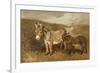 Donkeys out on the Moor, C.1890 (Oil on Canvas)-John Emms-Framed Giclee Print