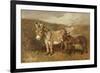 Donkeys out on the Moor, C.1890 (Oil on Canvas)-John Emms-Framed Giclee Print