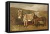 Donkeys out on the Moor, C.1890 (Oil on Canvas)-John Emms-Framed Stretched Canvas