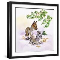 Donkeys-Diane Matthes-Framed Giclee Print