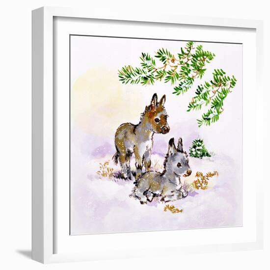 Donkeys-Diane Matthes-Framed Giclee Print