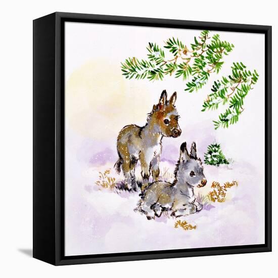 Donkeys-Diane Matthes-Framed Stretched Canvas