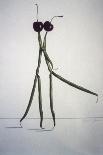 String Bean Chili Pepper Dancer-Donna Basile-Giclee Print