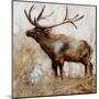 Wood Mount