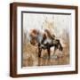 Brown Frame