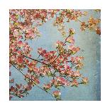 Dogwood-Donna Geissler-Giclee Print