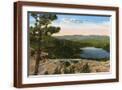 Brown Frame