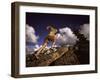 Donner Summit, California, USA-null-Framed Photographic Print