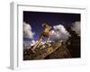 Donner Summit, California, USA-null-Framed Photographic Print