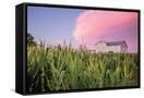 Canvas Black