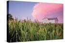 Stretched Canvas