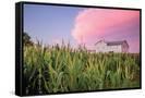 Canvas Black