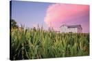 Stretched Canvas
