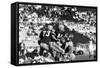 Donny Anderson #44 of Greenbay Packers,Super Bowl I, Los Angeles, California January 15, 1967-Art Rickerby-Framed Stretched Canvas