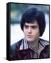 Donny Osmond-null-Framed Stretched Canvas