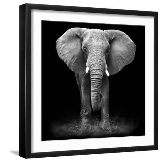 Photographic Print, , large