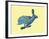 Dont Split Hares-Drawpaint Illustration-Framed Giclee Print