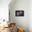 Donut Balloon-Octavian Mielu-Framed Stretched Canvas displayed on a wall