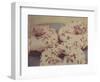 Donuts-Jennifer Kennard-Framed Photographic Print