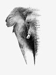 Artistic Black And White Elephant-Donvanstaden-Poster