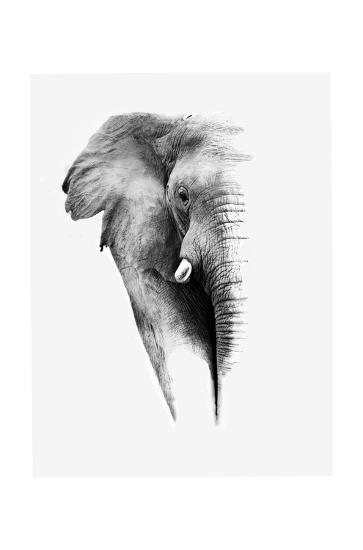 Poster, , large