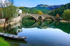 Arched Bridge Reflected in Crnojevica River, Montenegro-Donyanedomam-Photographic Print