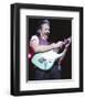 Doobie Brothers-null-Framed Photo