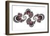 Doodle 2-Fractalicious-Framed Giclee Print