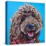 Doodle on Blue-Carolee Vitaletti-Stretched Canvas