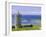 Doonagoore Castle, County Clare, Munster, Republic of Ireland (Eire), Europe-Graham Lawrence-Framed Photographic Print