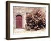 Door and Pink Oleander Flowers, Lucardo, Tuscany, Italy-Michele Molinari-Framed Premium Photographic Print