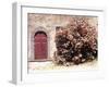 Door and Pink Oleander Flowers, Lucardo, Tuscany, Italy-Michele Molinari-Framed Premium Photographic Print