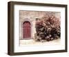 Door and Pink Oleander Flowers, Lucardo, Tuscany, Italy-Michele Molinari-Framed Photographic Print