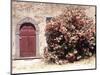 Door and Pink Oleander Flowers, Lucardo, Tuscany, Italy-Michele Molinari-Mounted Photographic Print