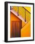 Door at the Bottom of a Stairway in Southern Ireland-Tom Haseltine-Framed Photographic Print