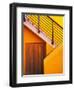 Door at the Bottom of a Stairway in Southern Ireland-Tom Haseltine-Framed Photographic Print