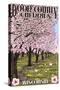 Door County, Wisconsin - Cherry Blossoms-Lantern Press-Stretched Canvas