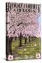 Door County, Wisconsin - Cherry Blossoms-Lantern Press-Stretched Canvas