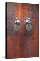 Door, Fez, Morocco, North Africa, Africa-Neil Farrin-Stretched Canvas