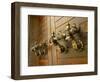 Door Handles, Valletta, Malta, Europe-Nick Servian-Framed Photographic Print