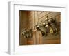 Door Handles, Valletta, Malta, Europe-Nick Servian-Framed Photographic Print