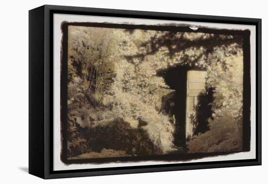 Door in the Woods-Theo Westenberger-Framed Stretched Canvas