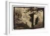 Door in the Woods-Theo Westenberger-Framed Photographic Print