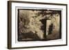 Door in the Woods-Theo Westenberger-Framed Photographic Print