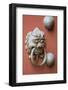 Door knocker at Che Kung Temple, Tai Wai, Hong Kong, China.-Michael DeFreitas-Framed Photographic Print