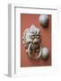 Door knocker at Che Kung Temple, Tai Wai, Hong Kong, China.-Michael DeFreitas-Framed Photographic Print