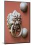 Door knocker at Che Kung Temple, Tai Wai, Hong Kong, China.-Michael DeFreitas-Mounted Photographic Print