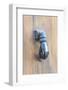 Door knocker, Avignon, Provence, France-Jim Engelbrecht-Framed Photographic Print